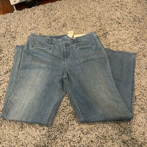 Ann Taylor Loft Trouser size 10p NWT